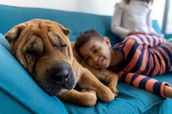 additional_deposit_insurance_sleeping_dog_and_child