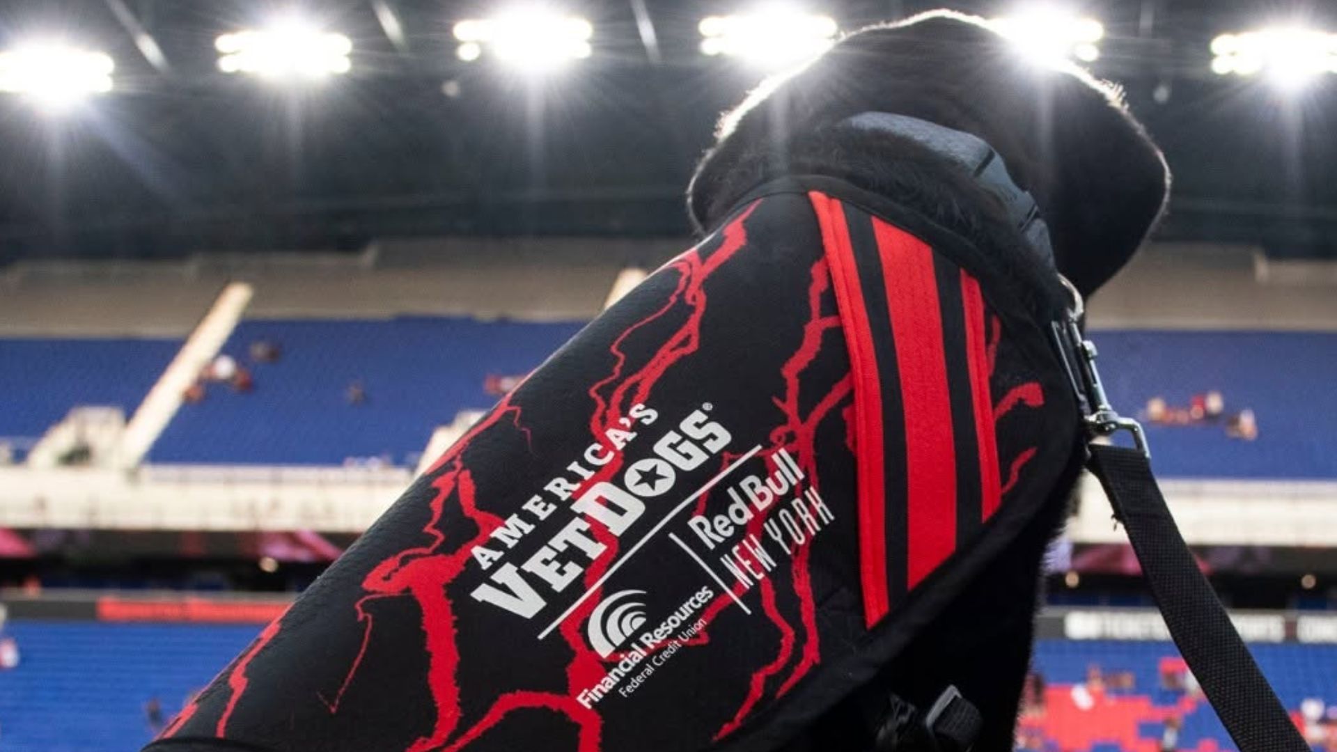 Harrison veteran service dog at RBNY game